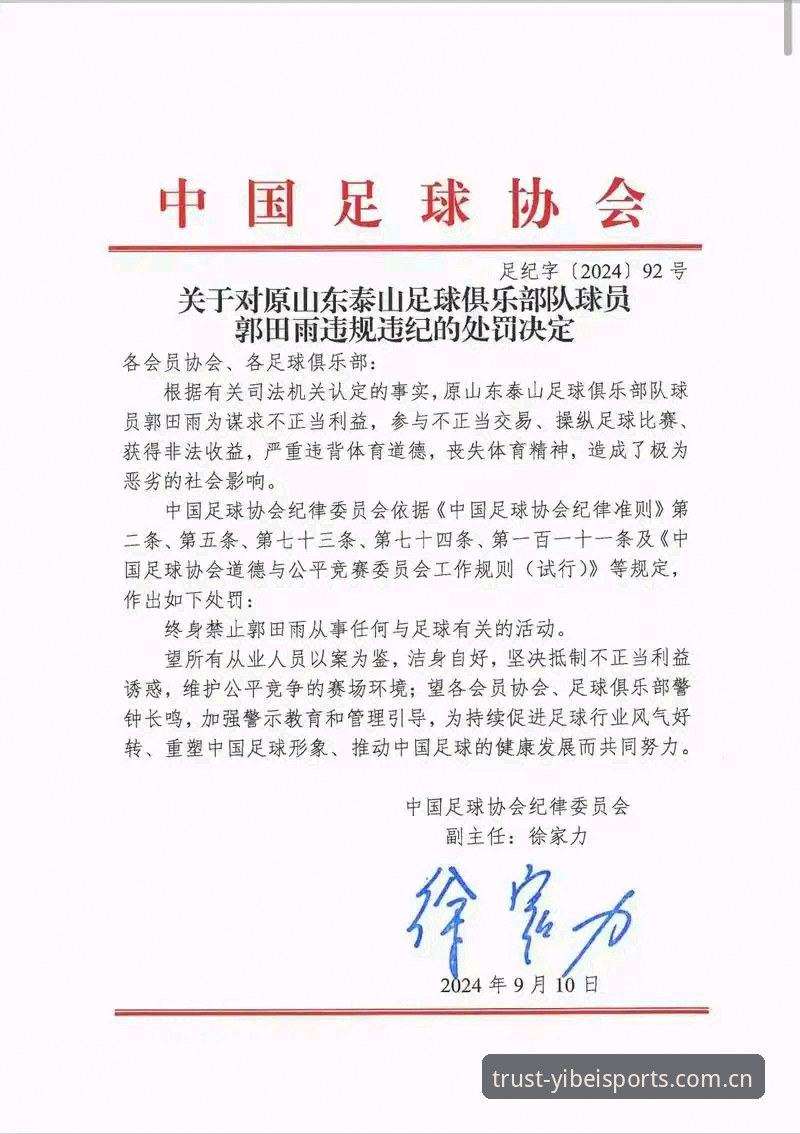 易倍体育官网地址安装失败 中国足协第三批禁足名单全面解析:17人终身禁赛、48人受罚背后的行业震荡